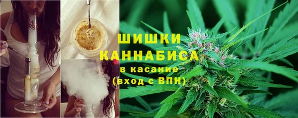 винт Белокуриха