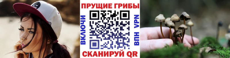 Псилоцибиновые грибы ЛСД  Луховицы 