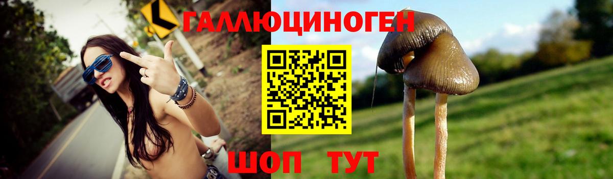 Псилоцибиновые грибы MAGIC MUSHROOMS Луховицы
