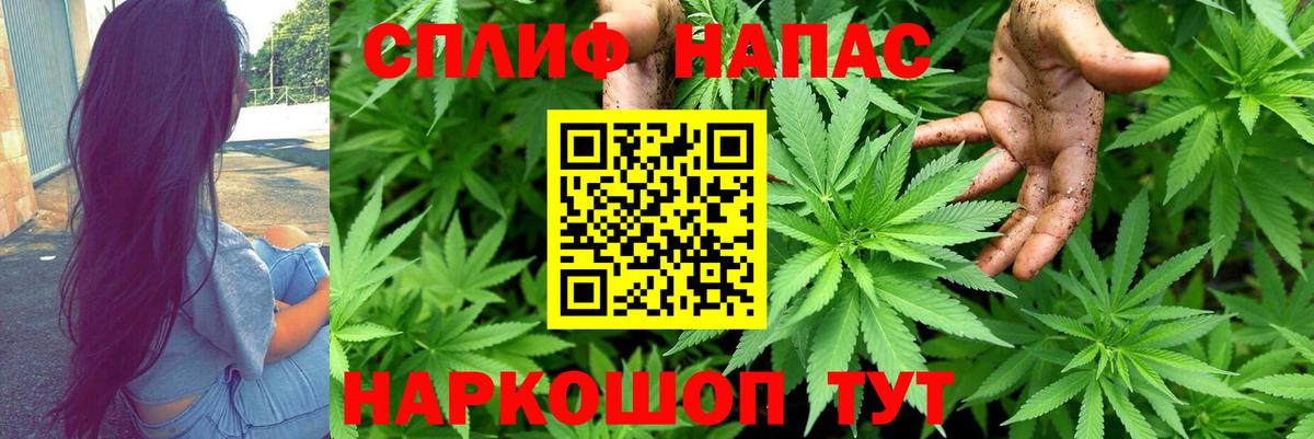 Бошки Шишки Amnesia Луховицы